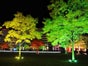 LED Floorspot Cameo STUDIO PAR64 - Galerie - Bild 2