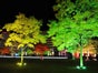 LED Floorspot Cameo STUDIO PAR64 - Galerie - Bild 2